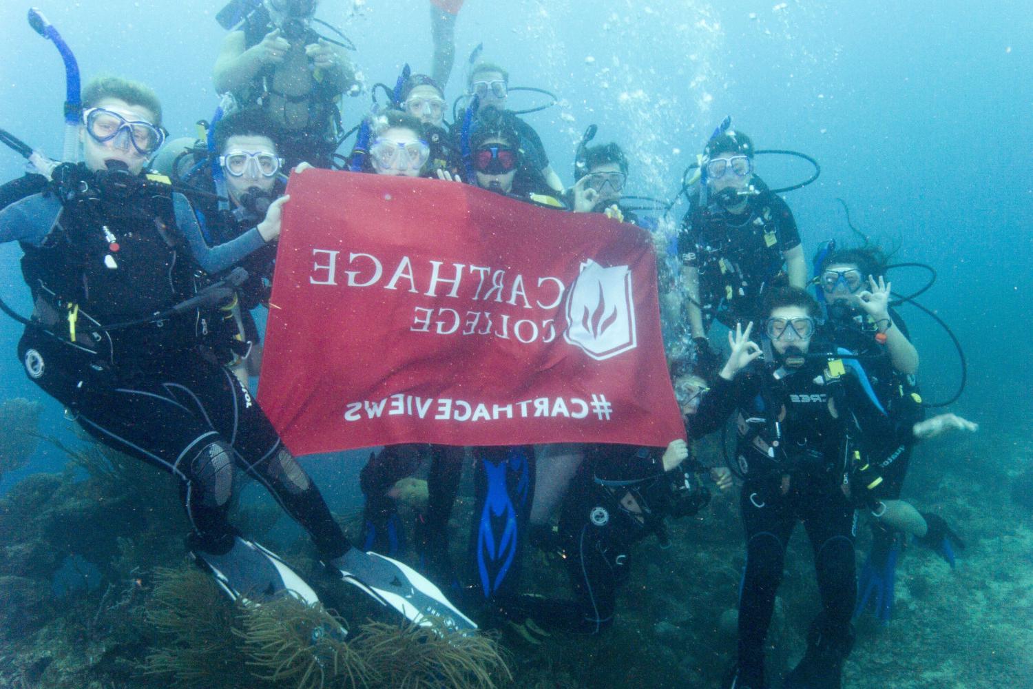 学生们手持<a href='http://6gf.ngskmc-eis.net'>bv伟德ios下载</a>旗帜，在j学期洪都拉斯游学之旅中潜水.